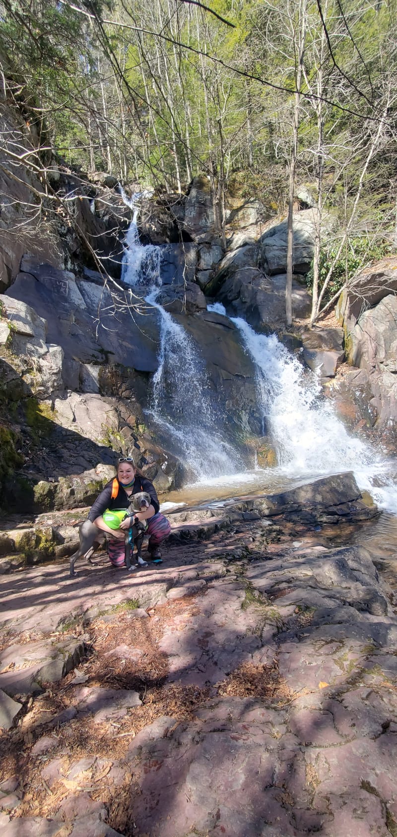Empathic Enthusiastic and Effervescent Meet Mary Anna Rodabaugh RTC Book Editor Waterfall