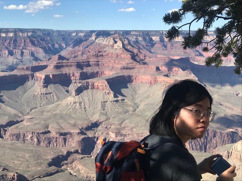 Empowered by Design Christy Bui RTC Book Designer grand Canyon