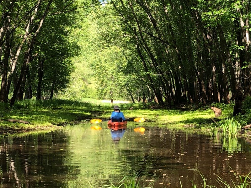Error Excavator and Beloved Introvert Meet Sheila Harris RTC Proofreader kayaking