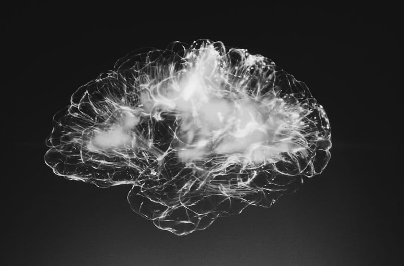 black and white image of the brain