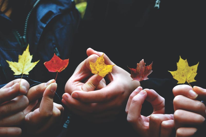 Hands holding leaves